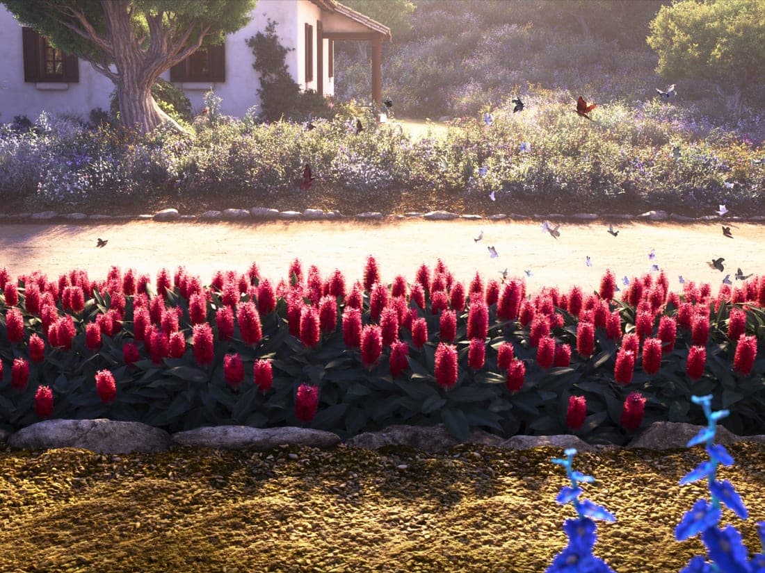 Flores
